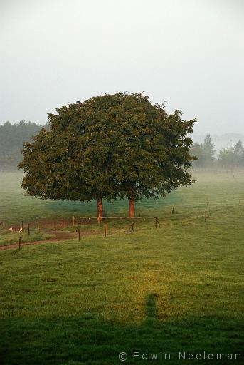 ENE-20070923-0010.jpg - Marsdijk, Lienden